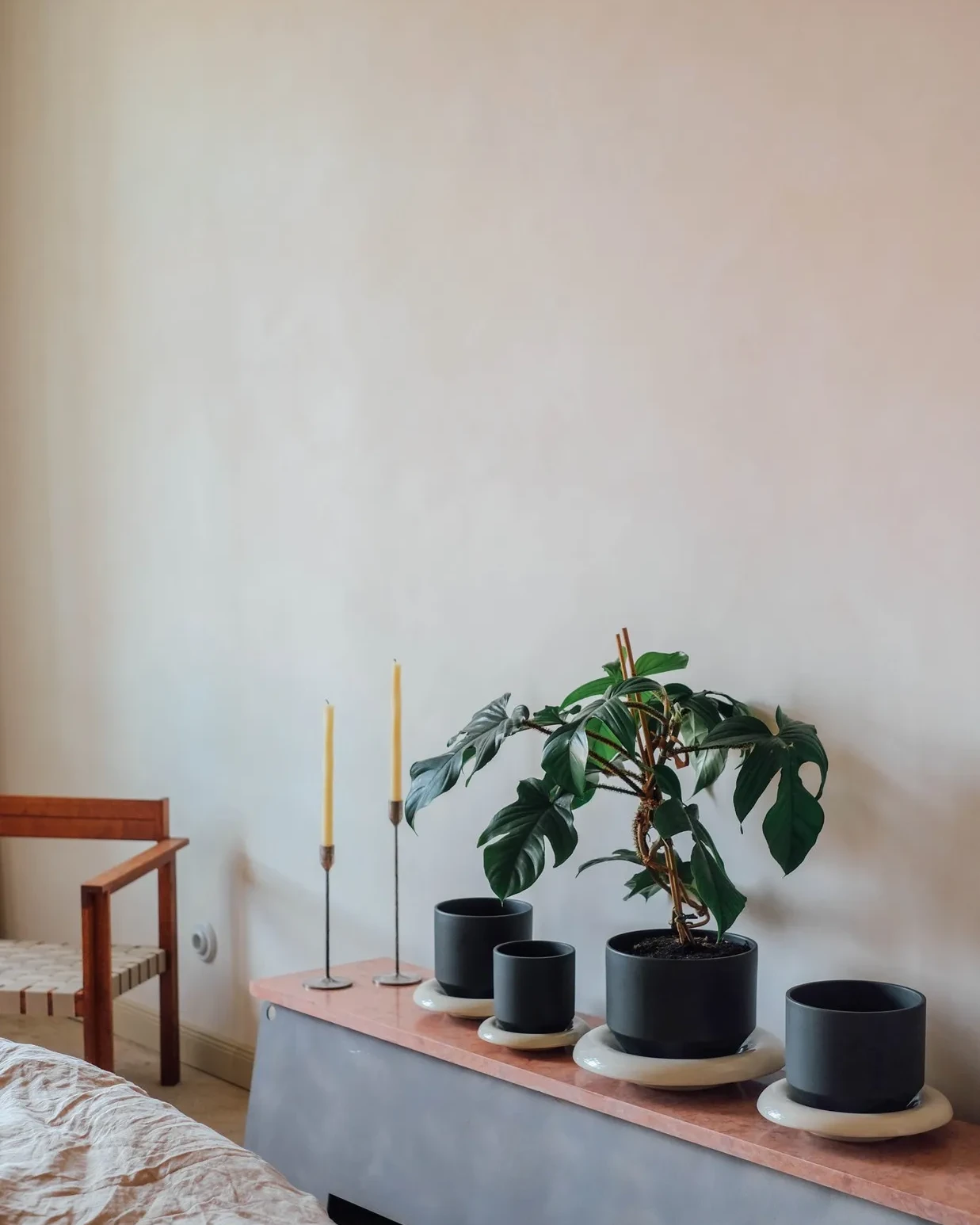 Creiamo spazi unici dall’Estetica Green-plab-2