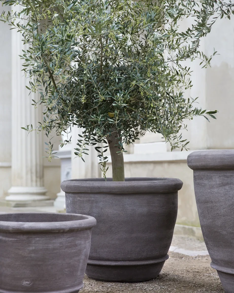 Creiamo spazi unici dall’Estetica Green-plab-3