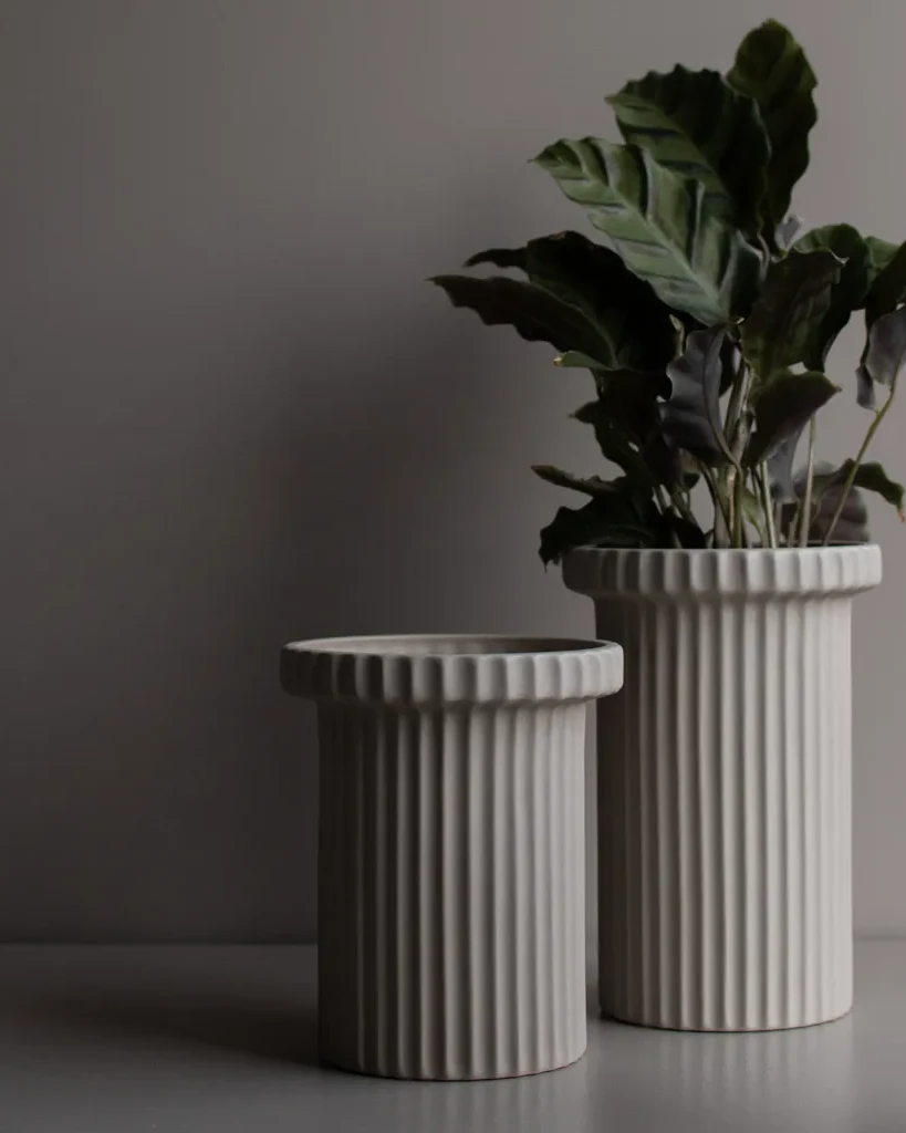 Creiamo spazi unici dall’Estetica Green-plab
